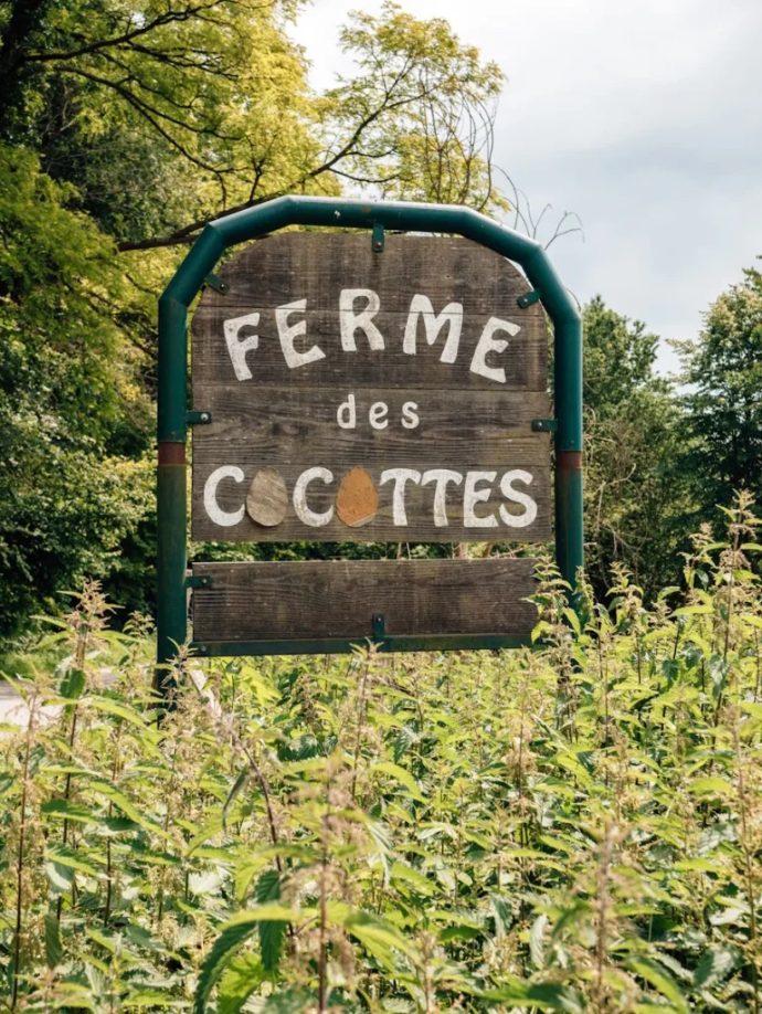 La ferme des cocottes normandie